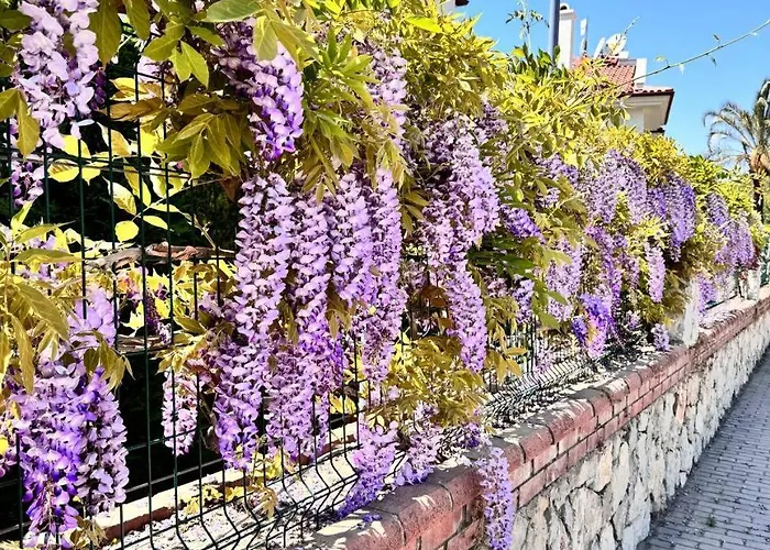 Sunset Club 3 Bedroom Apartamento Fethiye