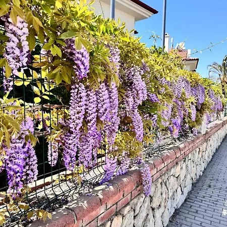 Sunset Club 3 Bedroom Daire Fethiye